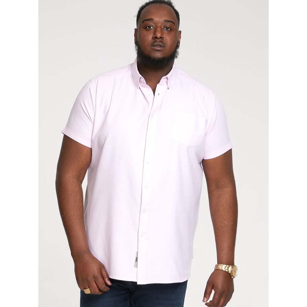 D555 James Oxford Short Sleeve Shirt White