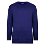 ESPIONAGE COTTON VEE NECK PULLOVER NAVY
