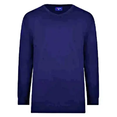 ESPIONAGE COTTON VEE NECK PULLOVER NAVY