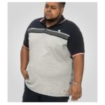 D555 Tipton Men's Stripe Jacquard Polo Shirt