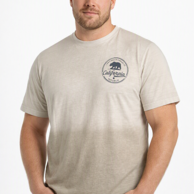 2 - 6XL  KAM Deep Dye California Print Tee KBS5828